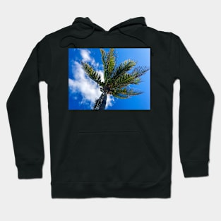 A Palm Tree in the Sky Hoodie